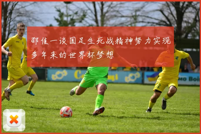 邵佳一谈国足生死战精神努力实现多年来的世界杯梦想