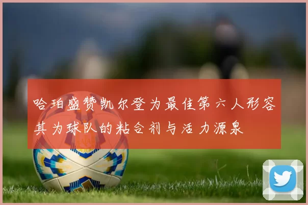 哈珀盛赞凯尔登为最佳第六人形容其为球队的粘合剂与活力源泉