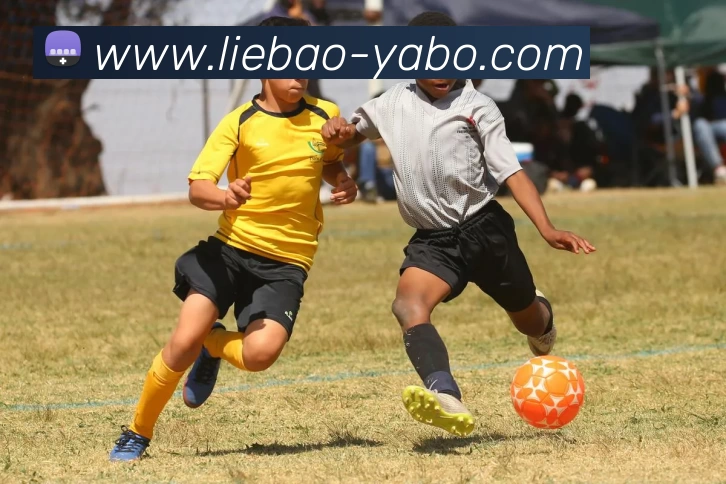 亚博集团APP 封面图